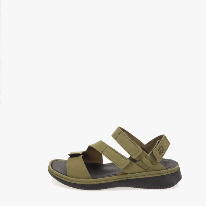 loints of holland Tjaard