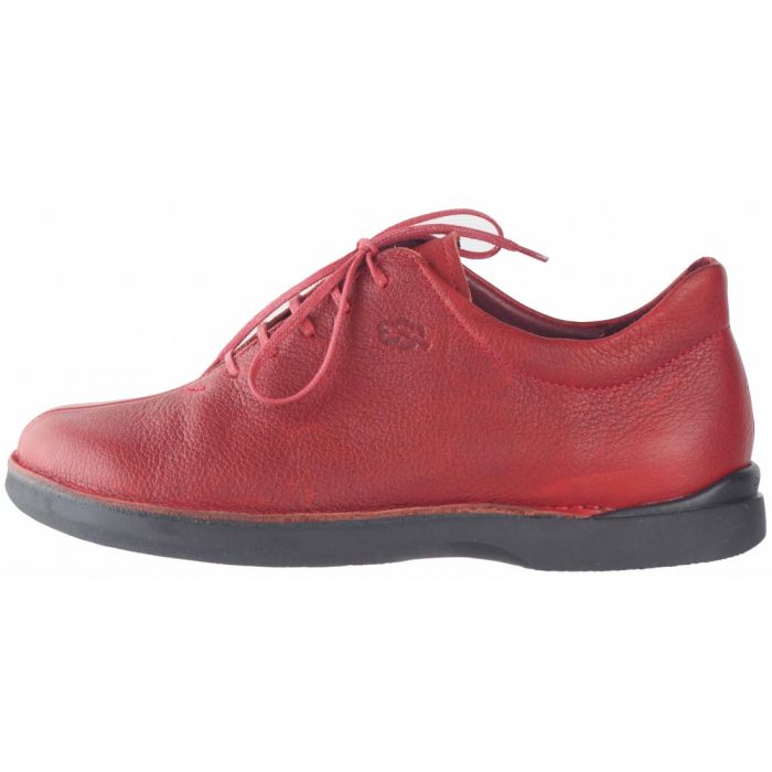 loints of holland Triatlon