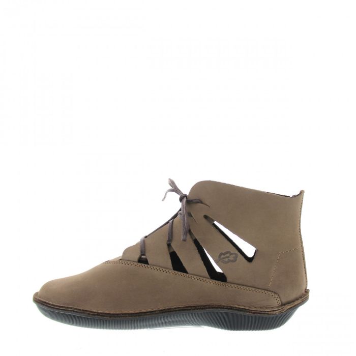 Loints Of Holland Turbo