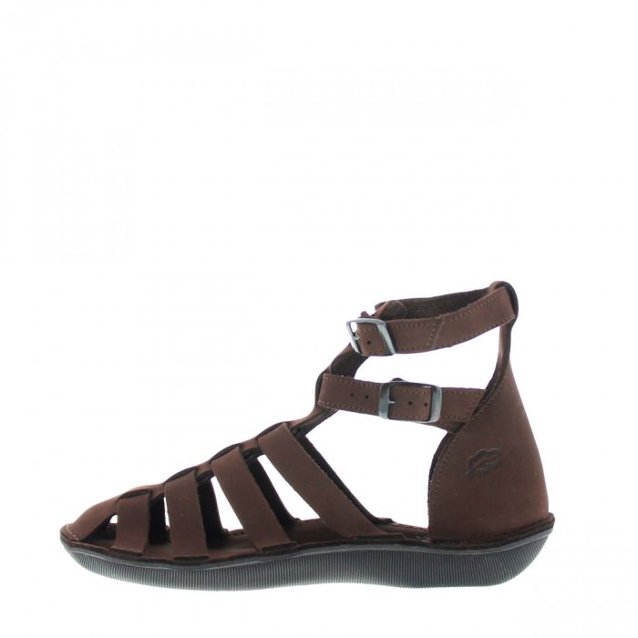 Loints Of Holland Turbo