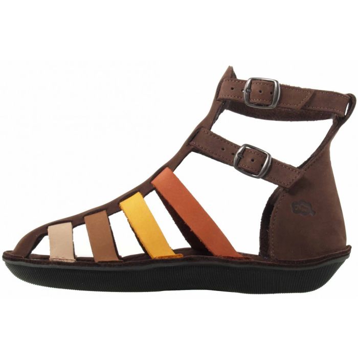 loints of holland Turbo