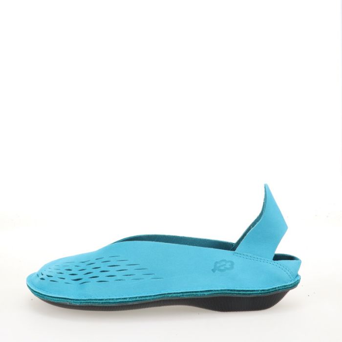 loints of holland Tuuthees