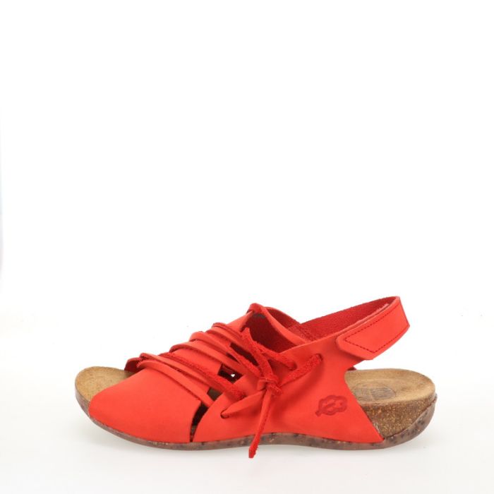 loints of holland Velddijk