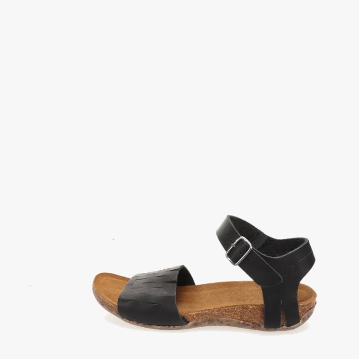 loints of holland Veldstreek