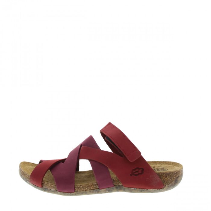 Loints Of Holland Venebrugge