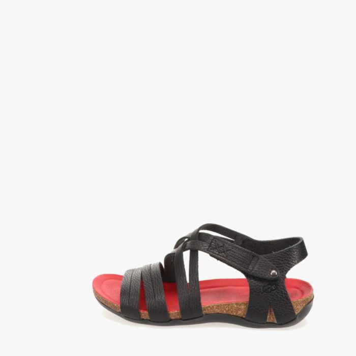 Loints Of Holland Vierlingsbeek