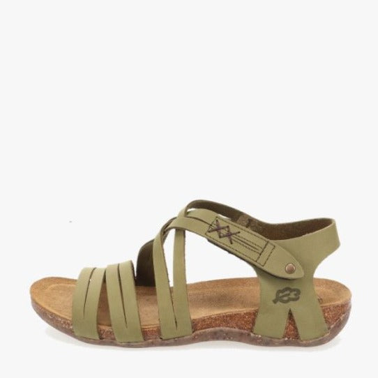 loints of holland Vierlingsbeek