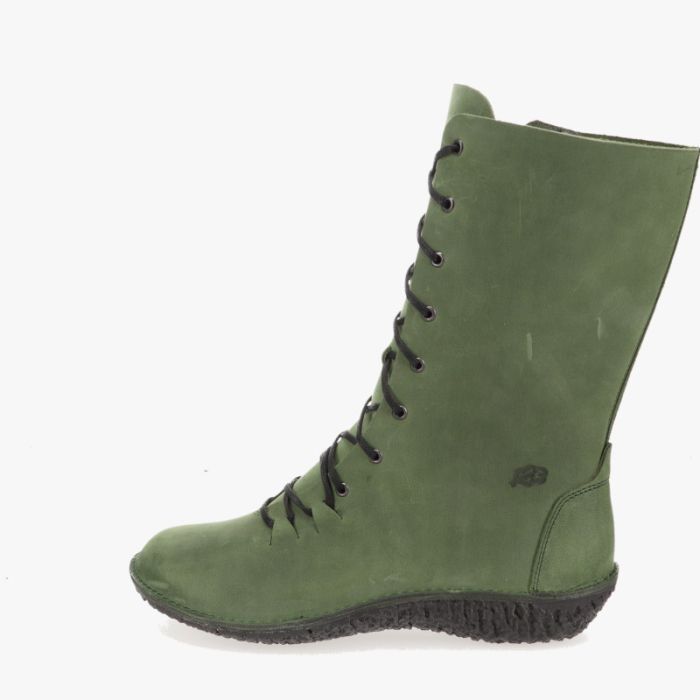 loints of holland Vliegert