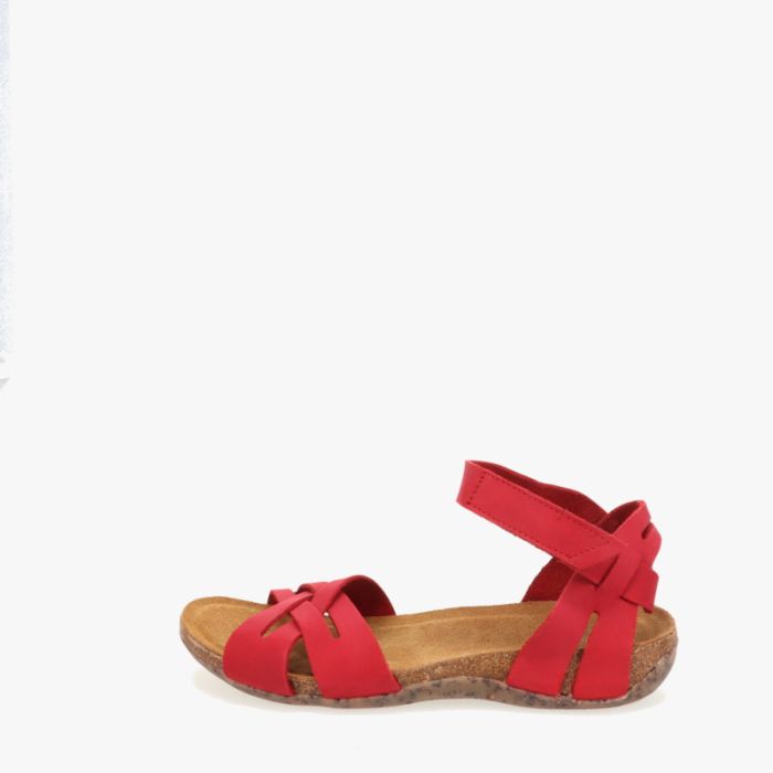 loints of holland Vloeieind