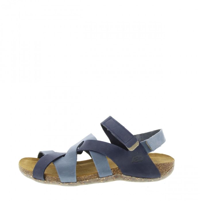 loints of holland Vogelwaarde