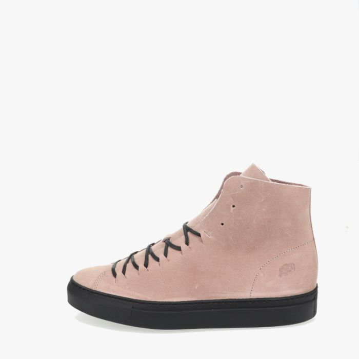 loints of holland Zetten