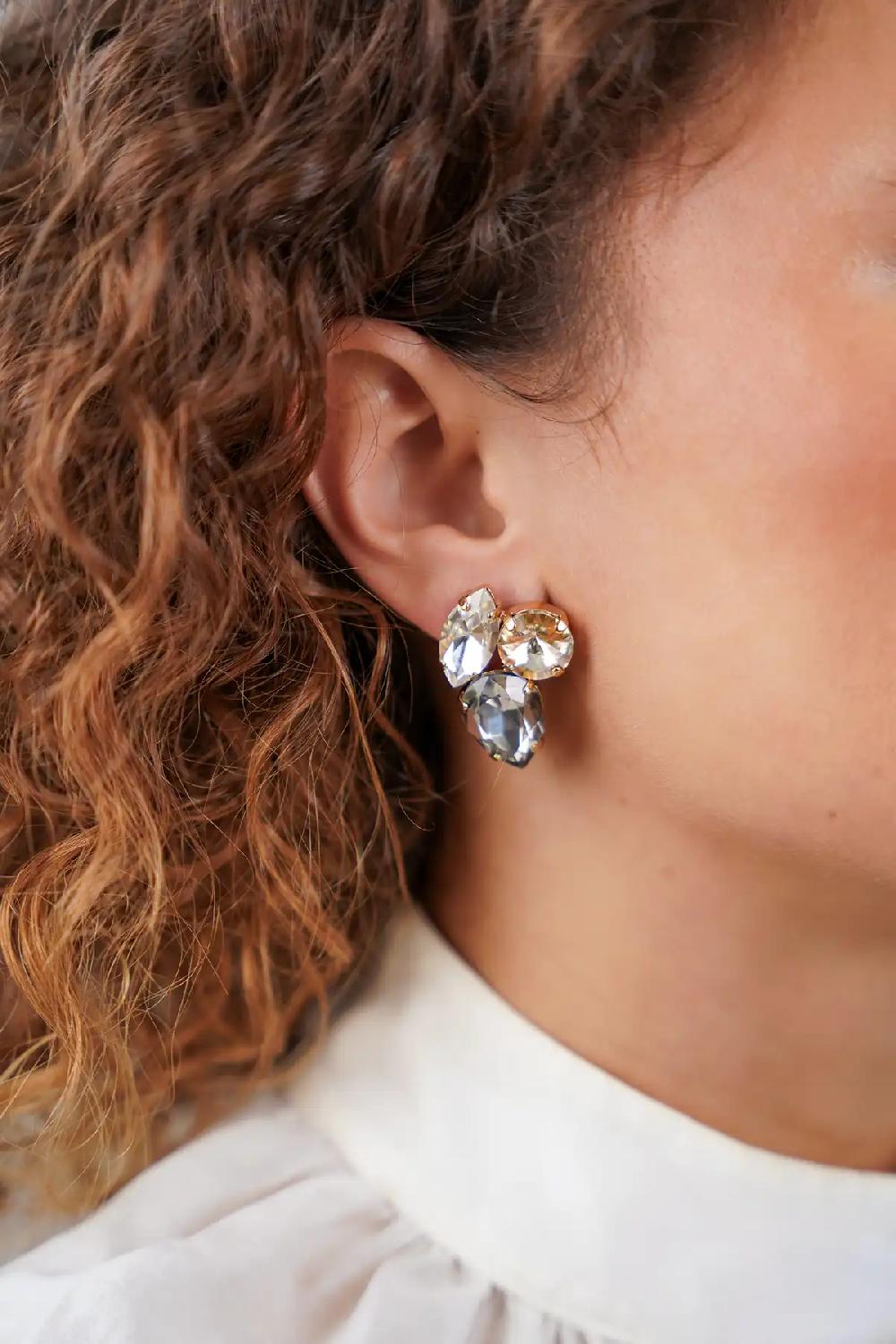 Lott. Gioielli Crystal/Shadow Oorbellen Lize 3 Shapes