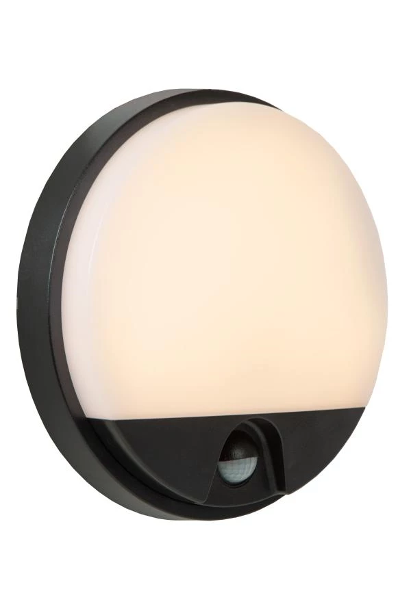 lucide Lucide HUPS IR - Wandlamp Binnen/Buiten - Ø 21 cm - LED - 1x10W 3000K - IP54 - Beweging & dag/nacht sensor - Zwart lucide Lucide HUPS IR - Wandlamp Binnen/Buiten - Ø 21 cm - LED - 1x10W 3000K - IP54 - Beweging & dag/nacht sensor - Zwart