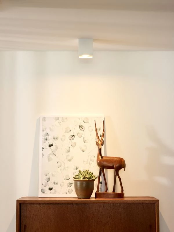 Lucide Lucide BODI - Plafondspot - 1xGU10 - Wit