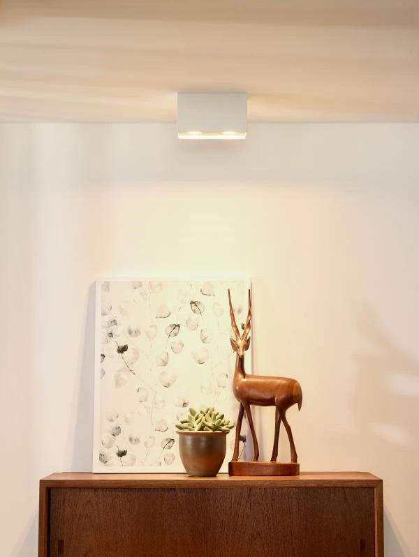 Lucide Lucide BODI - Plafondspot - 2xGU10 - Wit