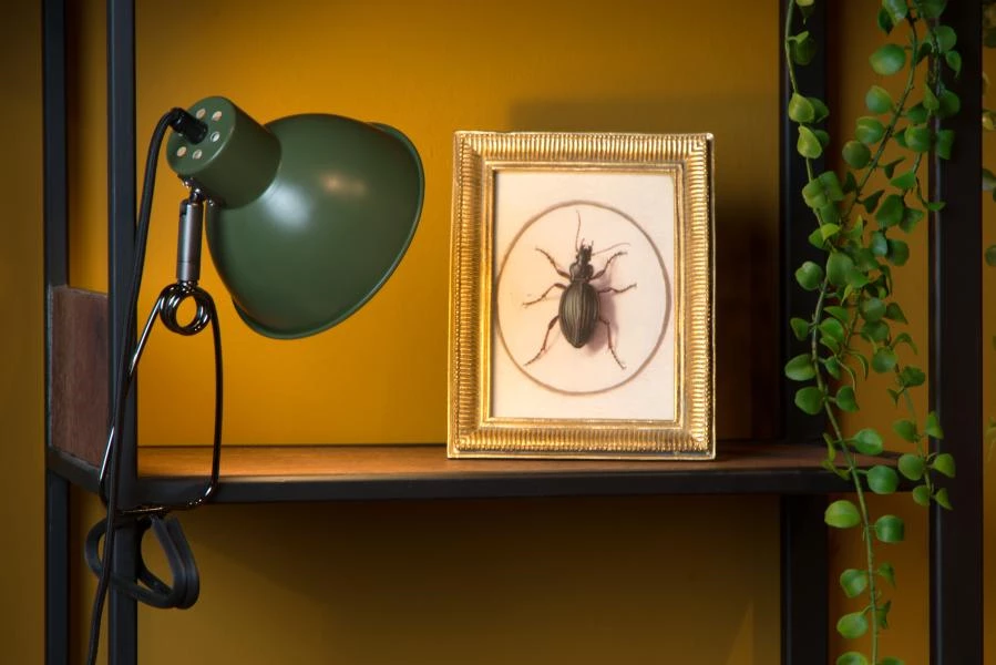 Lucide Lucide MOYS - Klemlamp - 1xE27 - Groen