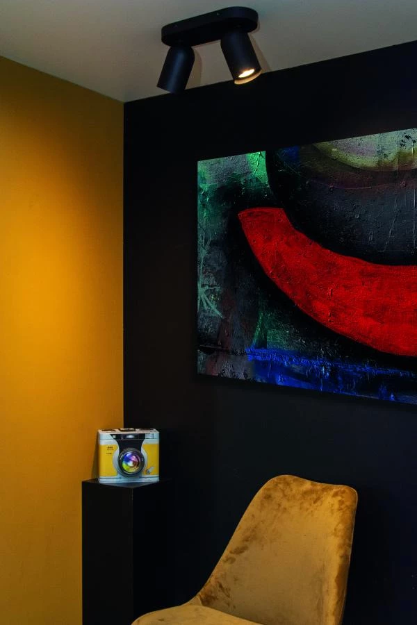 Lucide Lucide PUNCH - Plafondspot - 2xGU10 - Zwart