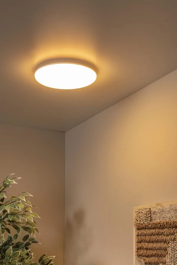 Lucide Lucide OLSON - Plafonnière Badkamer - Ø 29 Cm - LED - CCT - 1x24W 3000K/6500K - IP44 - Opaal