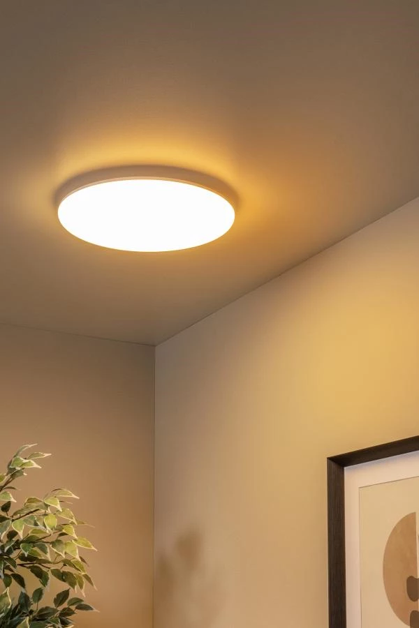 Lucide Lucide OLSON - Plafonnière Badkamer - Ø 35 Cm - LED - CCT - 1x36W 3000K/6500K - IP44 - Opaal