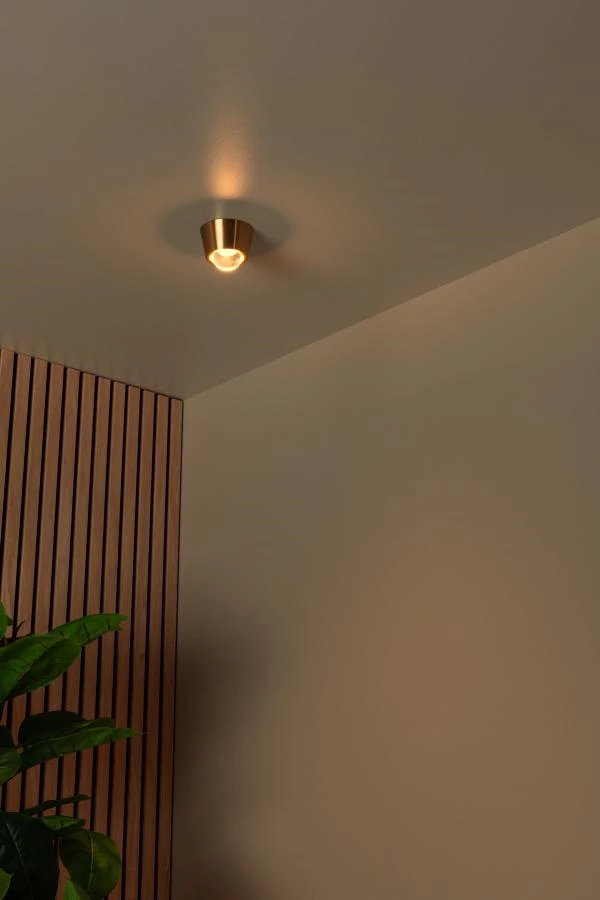 Lucide Lucide RIGON - Plafonnière - Ø 9 Cm - LED - 1x7W 3000K - Mat Goud / Messing