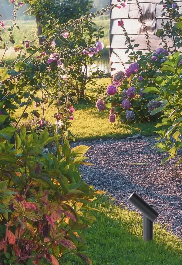 Lucide Lucide TATUM - Tuinspot - LED - 1x4 5W 3000K - IP65 - Antraciet