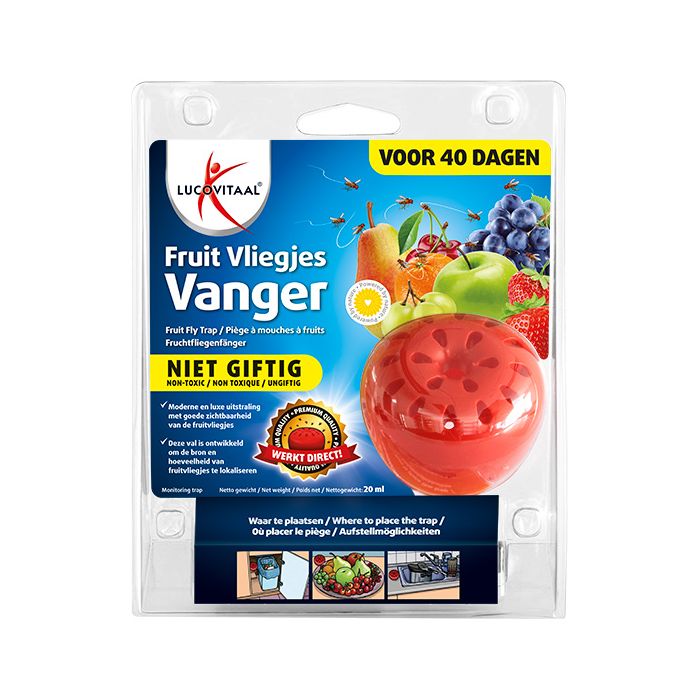 lucovitaal Fruitvliegjes vanger