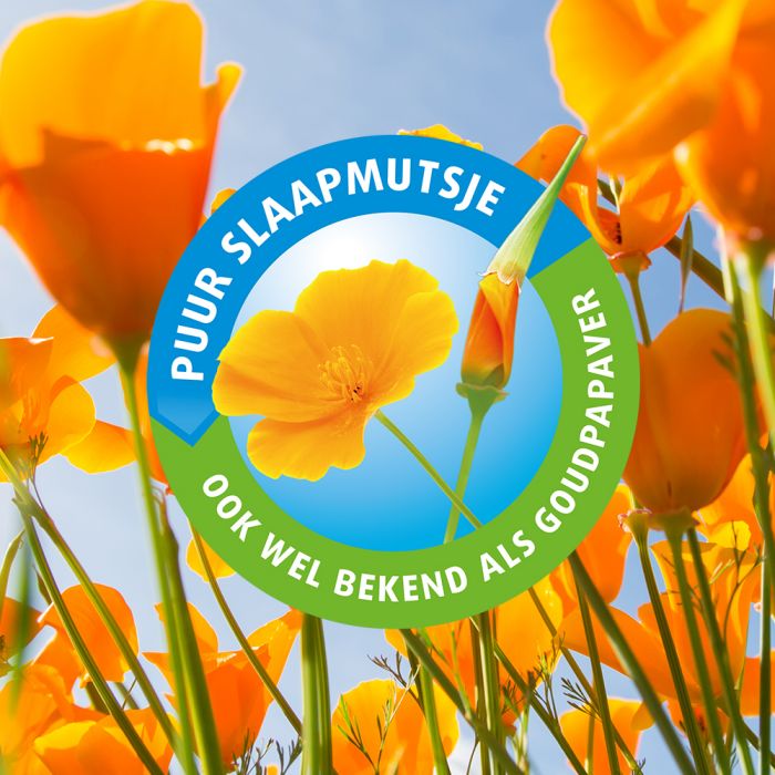 Lucovitaal Slaapmutsje 60 Tabletten