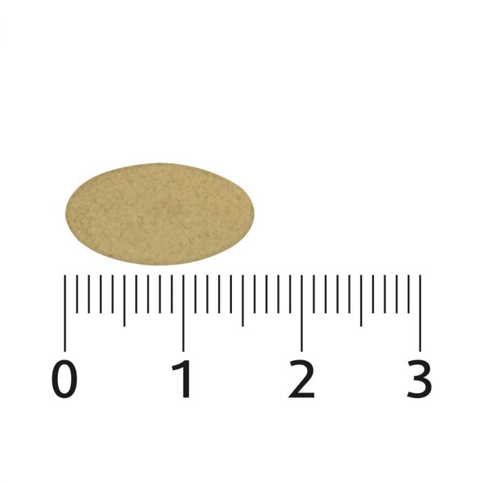 Lucovitaal Sterk IJzer Complex 60 Tabletten