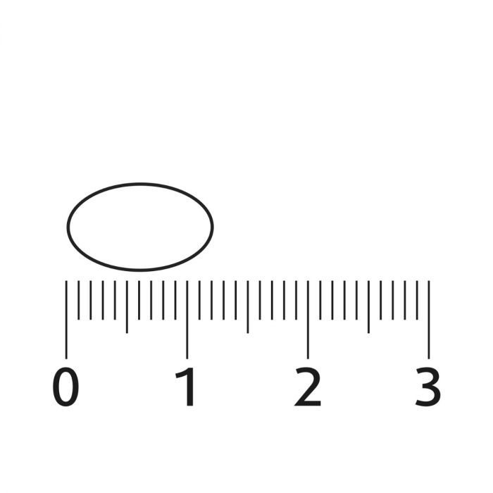 Lucovitaal Vegan Omega 3 Microalgen 60 Capsules