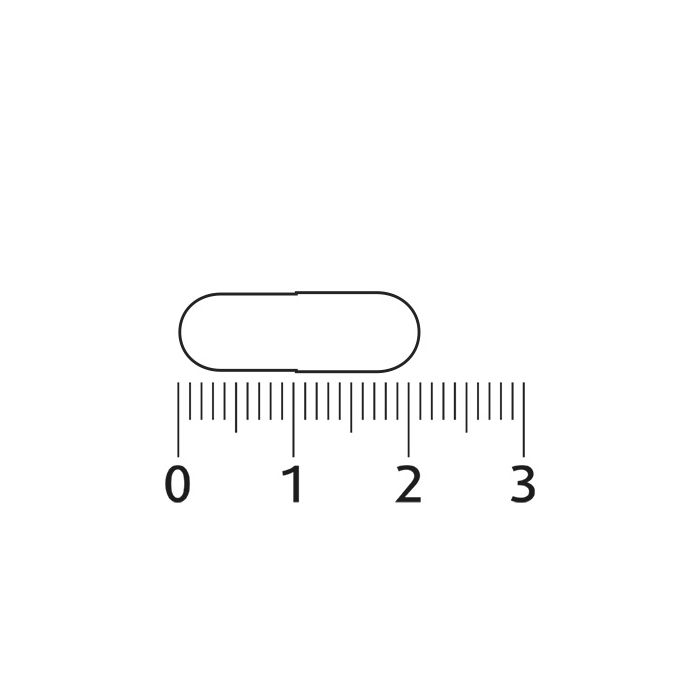 Lucovitaal Visolie & Knoflook 90 Capsules