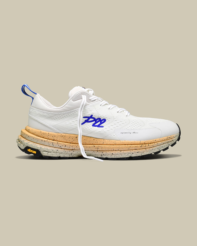 mercer amsterdam P22