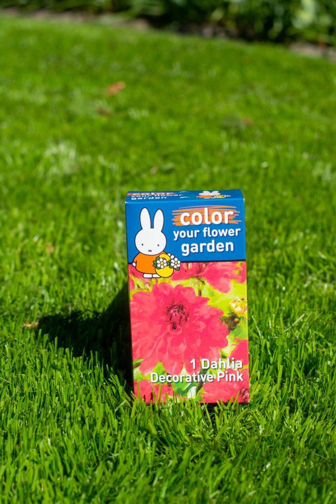 miffy dahlia decorative pink miffy box