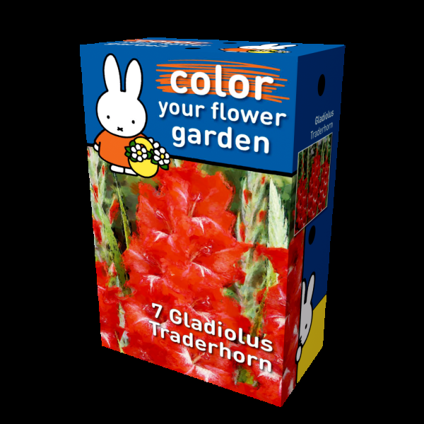 miffy gladiolus traderhorn miffy box