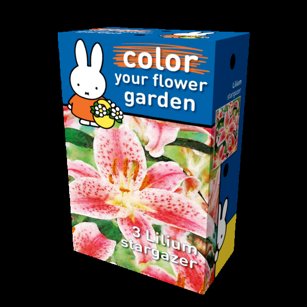 miffy lilium stargazer miffy box