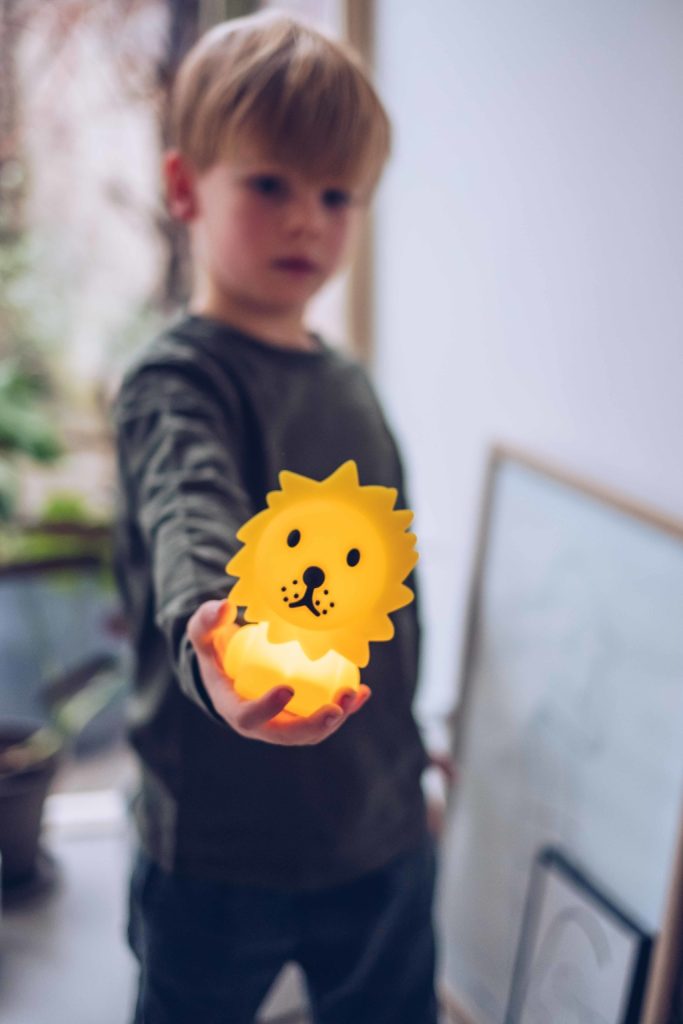 miffy lion bundle of light