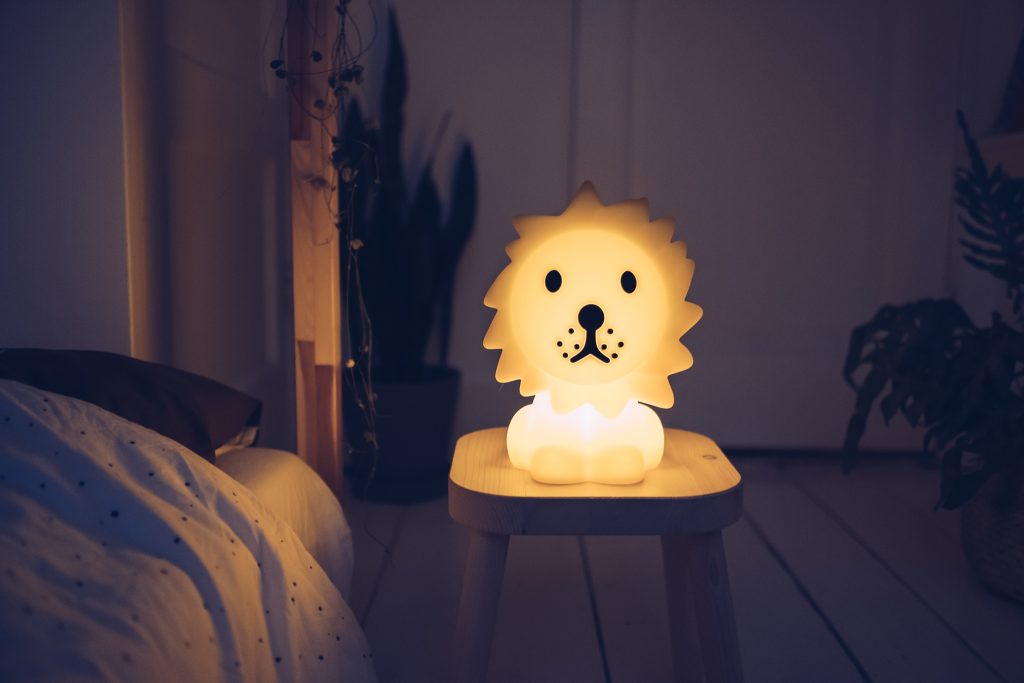 miffy lion first light