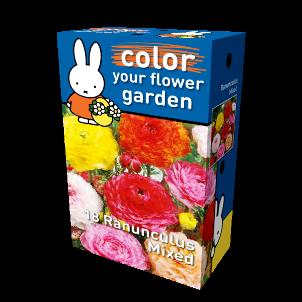 miffy ranunculus mixed miffy box