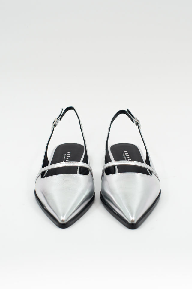 Nathalie Vleeschouwer Dallie Zilveren Instapper