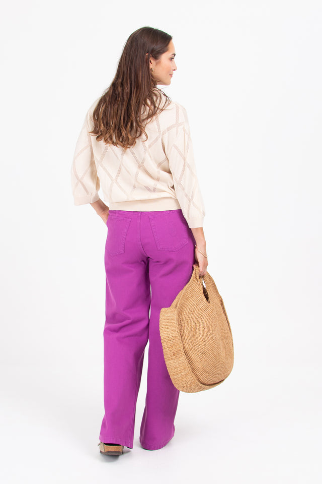 Nathalie Vleeschouwer Dario Paarse Denim Broek