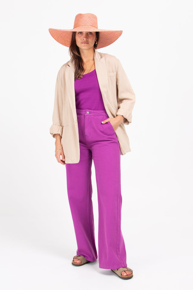 Nathalie Vleeschouwer Dario Paarse Denim Broek