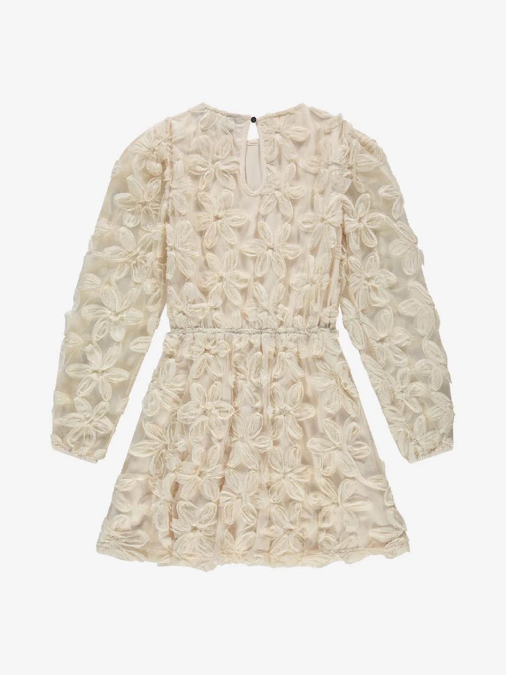 Nikkie Jurk Met Geborduurde Bloemen En Mesh Ballonmouwen