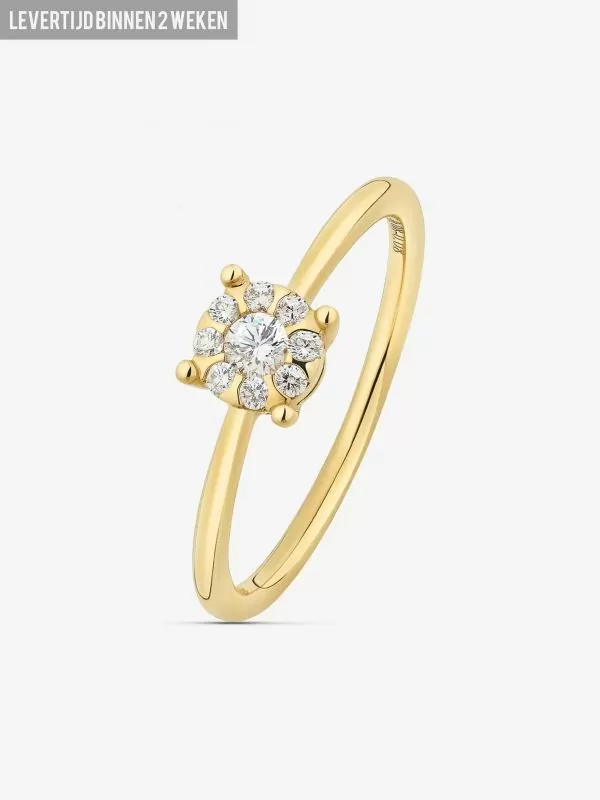 nikkie DIAMANTEN RING