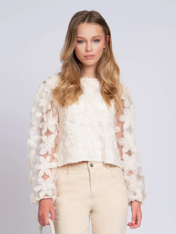 nikkie Top with embroidered flowers and mesh balloon sleeves