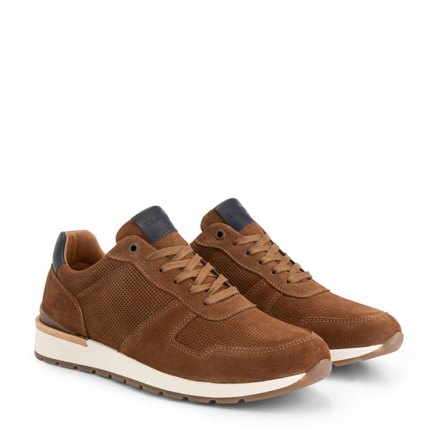 nogrz Brampton men Cognac