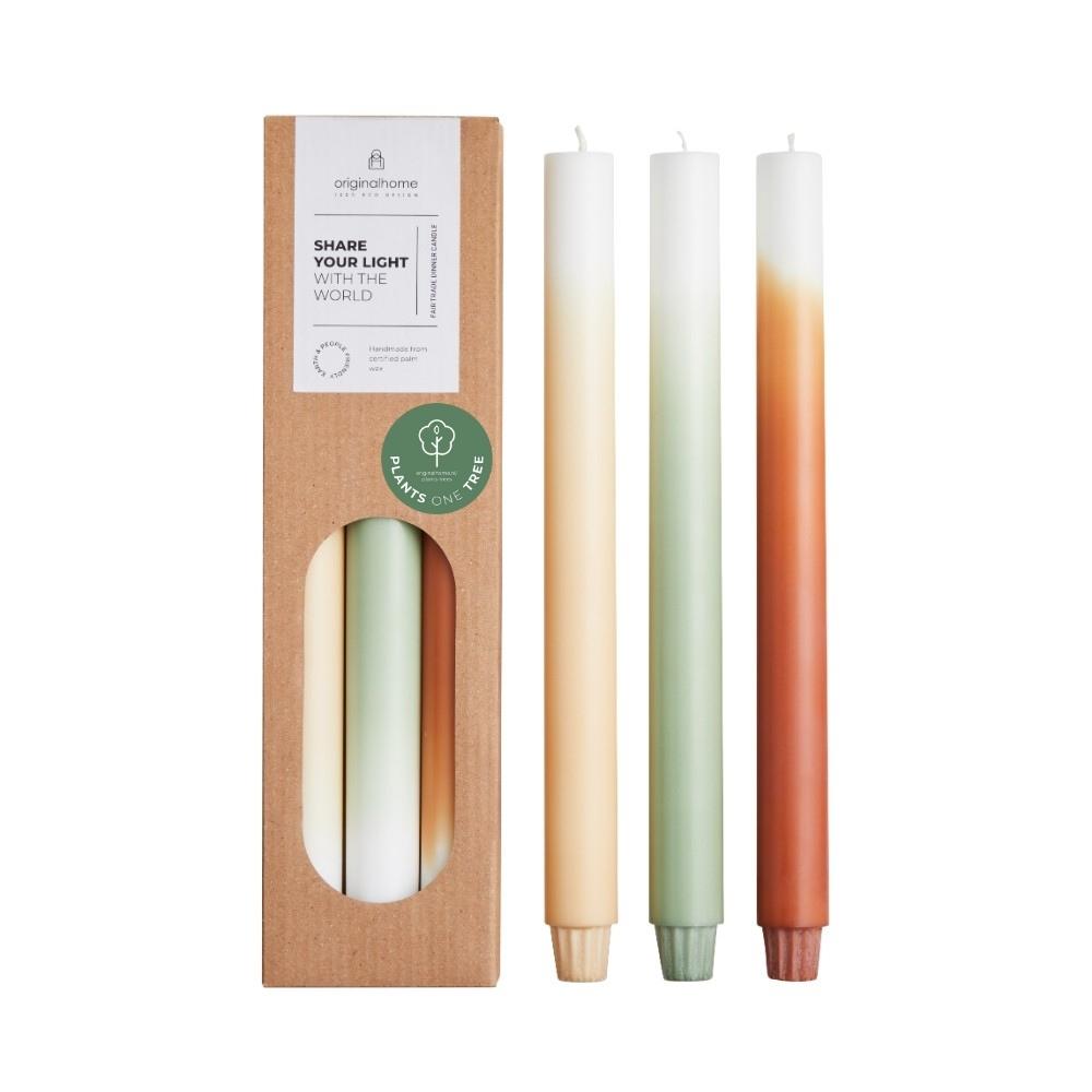 originalhome Gradient Candles Pine Tree S/3