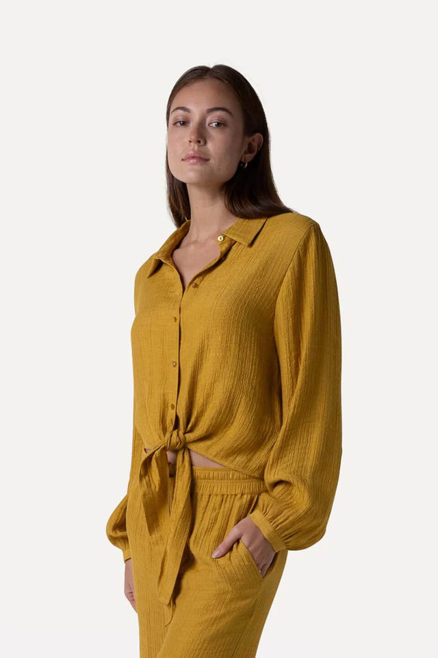 Orla Antwerp Bois Geknoopt Hemd