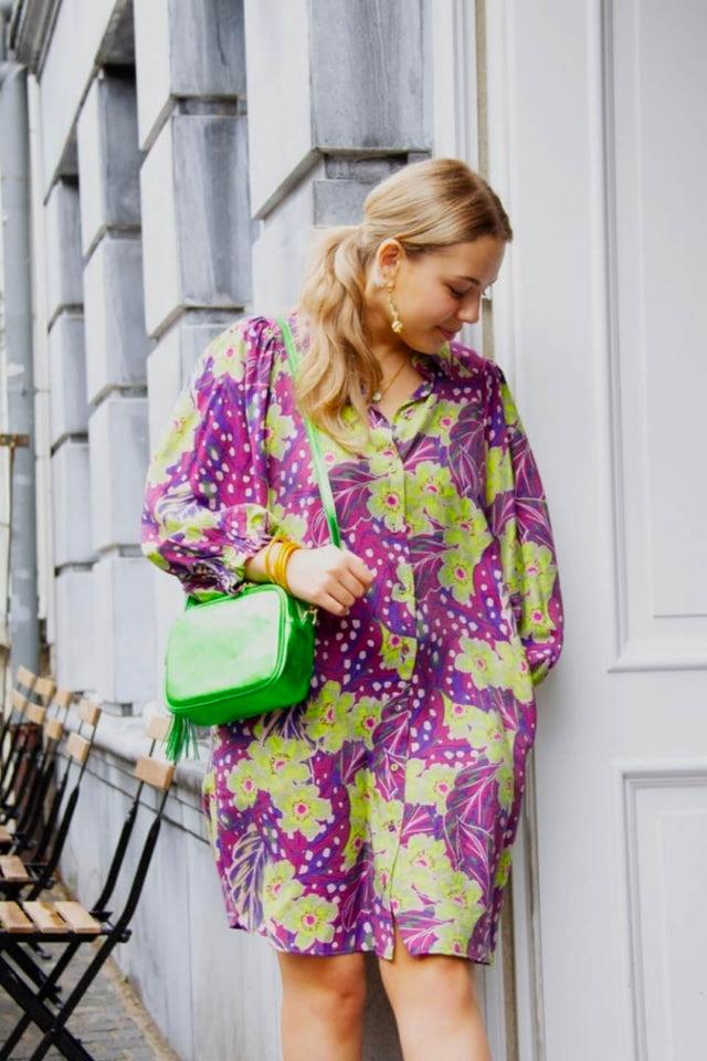 Orla Antwerp Metallic Camera Schoudertas