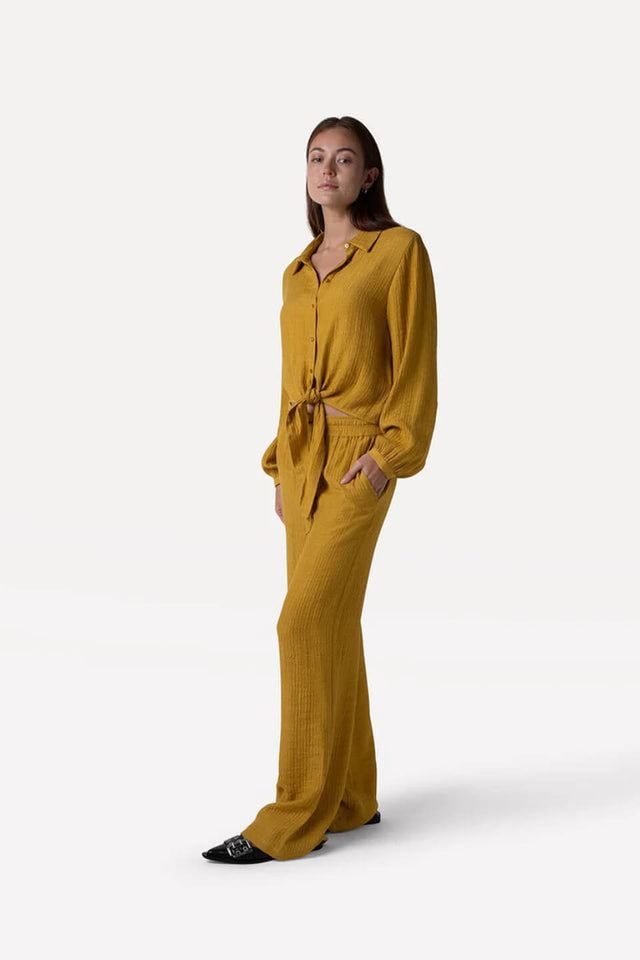 Orla Antwerp Wanda Broek