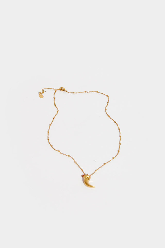 orla antwerp We Heart Hoorn Halsketting