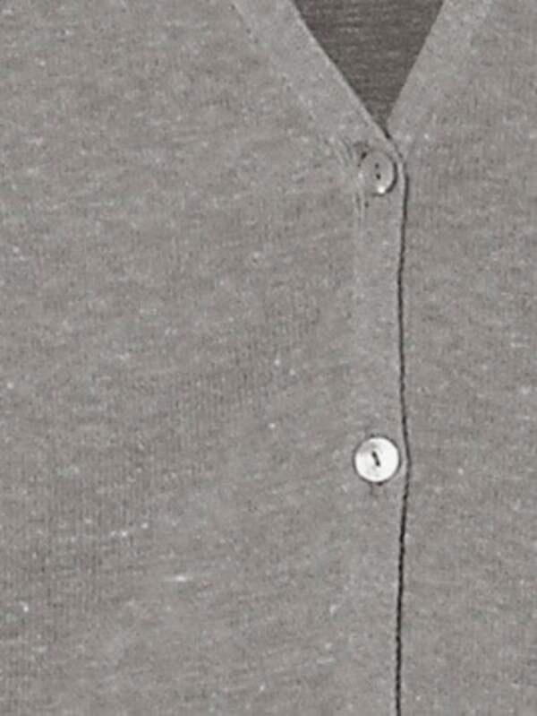 Patrizia Dini By Heine Fijn Gebreid Vest In Cardiganstijl Grijs Gemêleerd